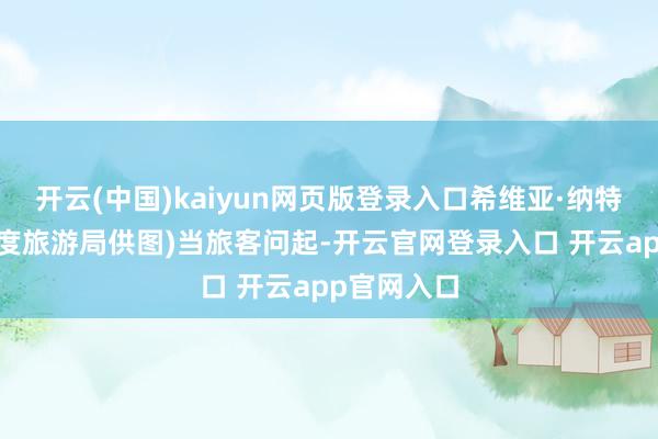 开云(中国)kaiyun网页版登录入口希维亚·纳特摄(丹麦国度旅游局供图)当旅客问起-开云官网登录入口 开云app官网入口