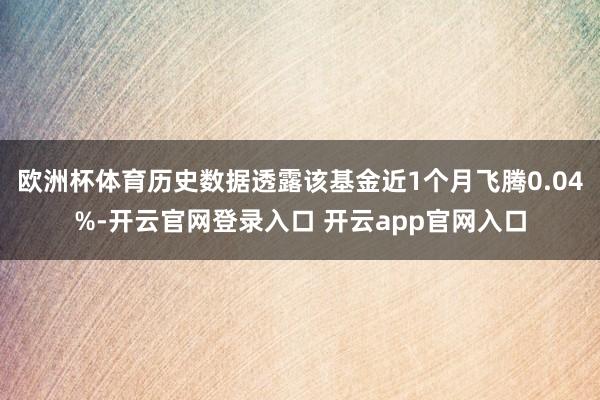 欧洲杯体育历史数据透露该基金近1个月飞腾0.04%-开云官网登录入口 开云app官网入口