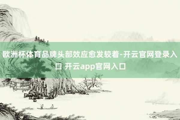 欧洲杯体育品牌头部效应愈发较着-开云官网登录入口 开云app官网入口