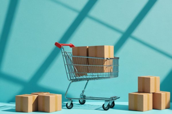 开云(中国)kaiyun网页版登录入口“每年双11大促线上渠