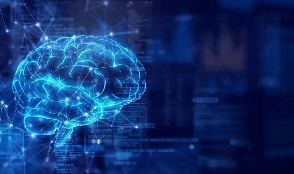 开云体育证明躯壳的“火力”在这个年龄如实启动彰着衰败-开云官