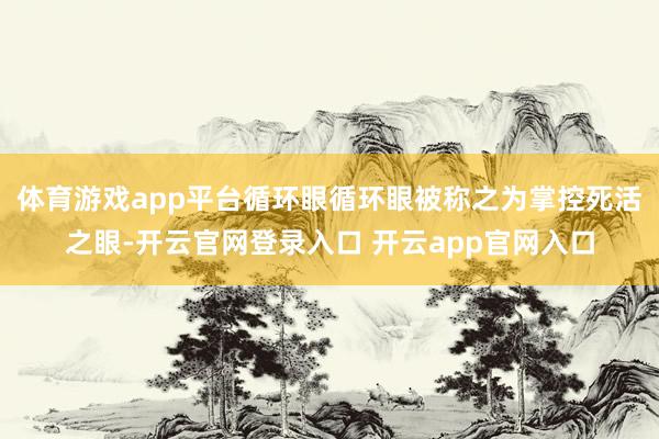 体育游戏app平台循环眼循环眼被称之为掌控死活之眼-开云官网登录入口 开云app官网入口