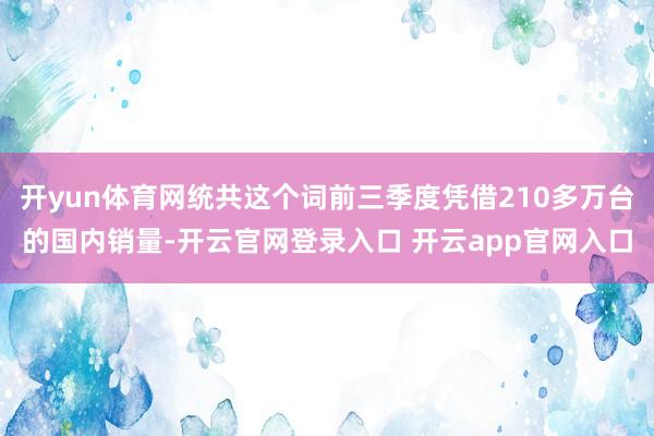 开yun体育网统共这个词前三季度凭借210多万台的国内销量-开云官网登录入口 开云app官网入口
