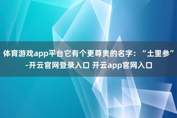 体育游戏app平台它有个更尊贵的名字：“土里参”-开云官网登录入口 开云app官网入口