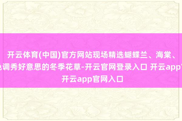 开云体育(中国)官方网站现场精选蝴蝶兰、海棠、腊梅等色调秀好意思的冬季花草-开云官网登录入口 开云app官网入口
