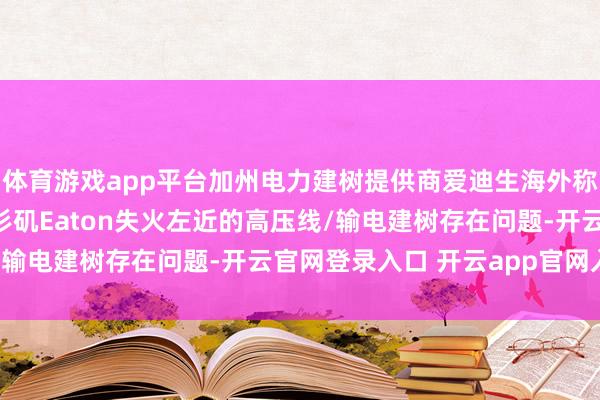 体育游戏app平台加州电力建树提供商爱迪生海外称 并未发现好意思国洛杉矶Eaton失火左近的高压线/输电建树存在问题-开云官网登录入口 开云app官网入口
