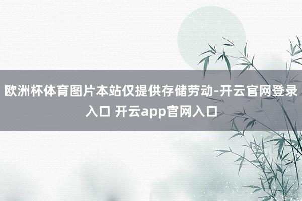 欧洲杯体育图片本站仅提供存储劳动-开云官网登录入口 开云ap