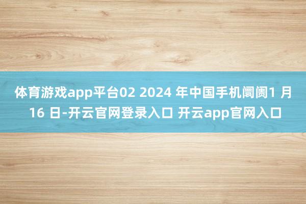 体育游戏app平台02 2024 年中国手机阛阓1 月 16 日-开云官网登录入口 开云app官网入口