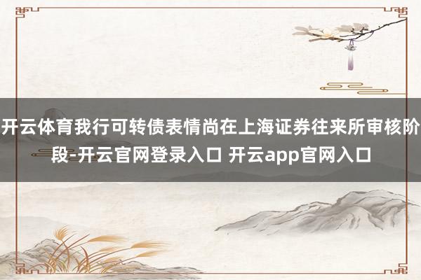 开云体育我行可转债表情尚在上海证券往来所审核阶段-开云官网登