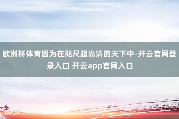 欧洲杯体育因为在咫尺超高清的天下中-开云官网登录入口 开云app官网入口