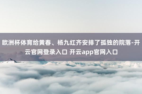 欧洲杯体育给黄春、杨九红齐安排了孤独的院落-开云官网登录入口