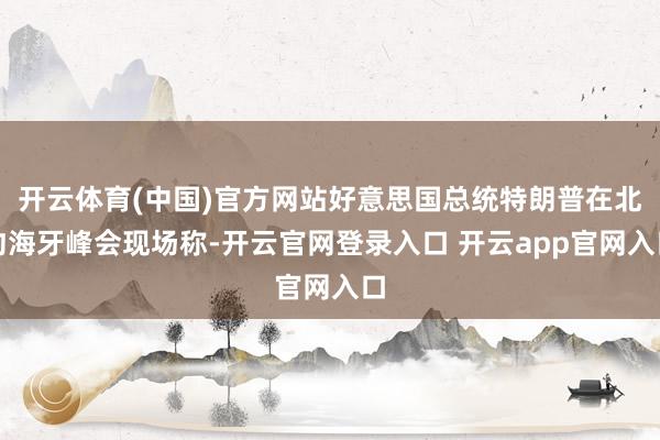 开云体育(中国)官方网站好意思国总统特朗普在北约海牙峰会现场