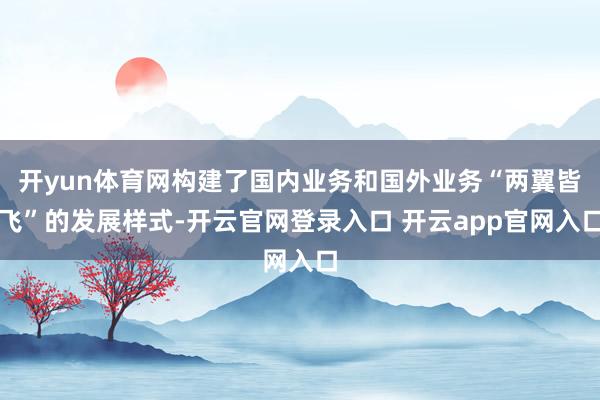 开yun体育网构建了国内业务和国外业务“两翼皆飞”的发展样式