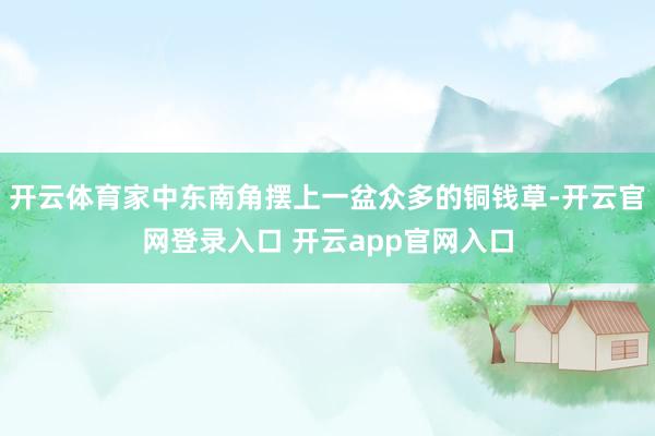 开云体育家中东南角摆上一盆众多的铜钱草-开云官网登录入口 开云app官网入口