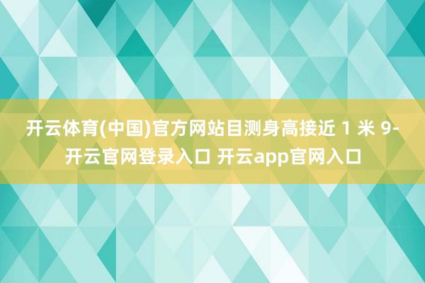 开云体育(中国)官方网站目测身高接近 1 米 9-开云官网登录入口 开云app官网入口