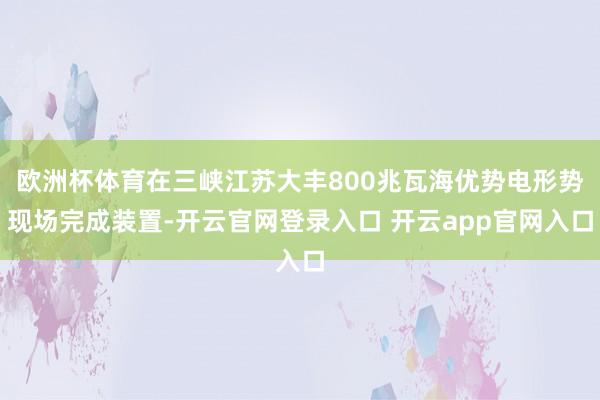 欧洲杯体育在三峡江苏大丰800兆瓦海优势电形势现场完成装置-开云官网登录入口 开云app官网入口