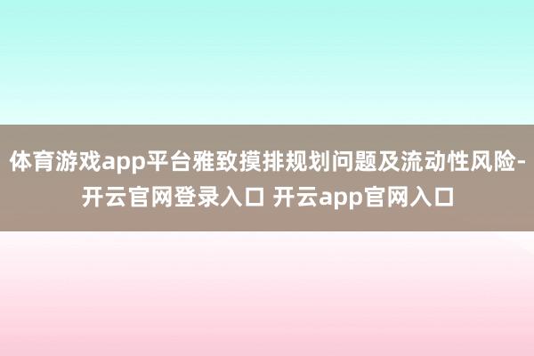 体育游戏app平台雅致摸排规划问题及流动性风险-开云官网登录入口 开云app官网入口