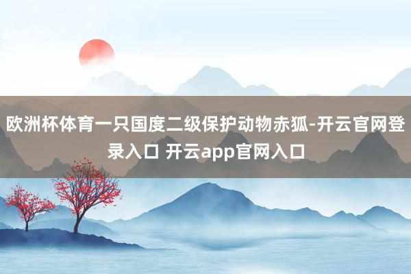 欧洲杯体育一只国度二级保护动物赤狐-开云官网登录入口 开云a