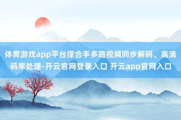 体育游戏app平台撑合手多路视频同步解码、高清码率处理-开云官网登录入口 开云app官网入口