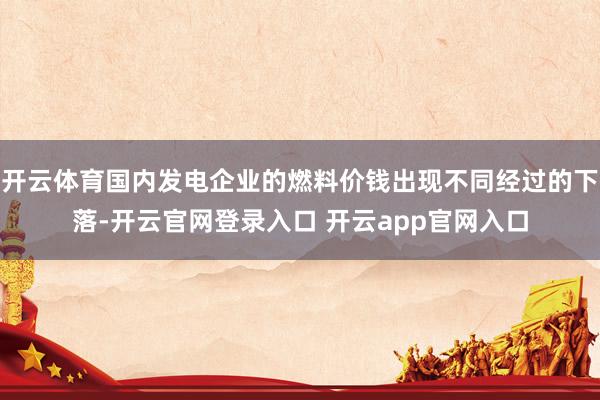 开云体育国内发电企业的燃料价钱出现不同经过的下落-开云官网登