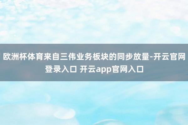 欧洲杯体育来自三伟业务板块的同步放量-开云官网登录入口 开云