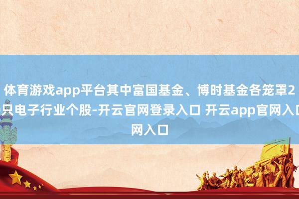 体育游戏app平台其中富国基金、博时基金各笼罩20只电子行业